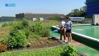 [K-MOVE] Vegetable Garden on Rooftop / YTN KOREAN screenshot 3
