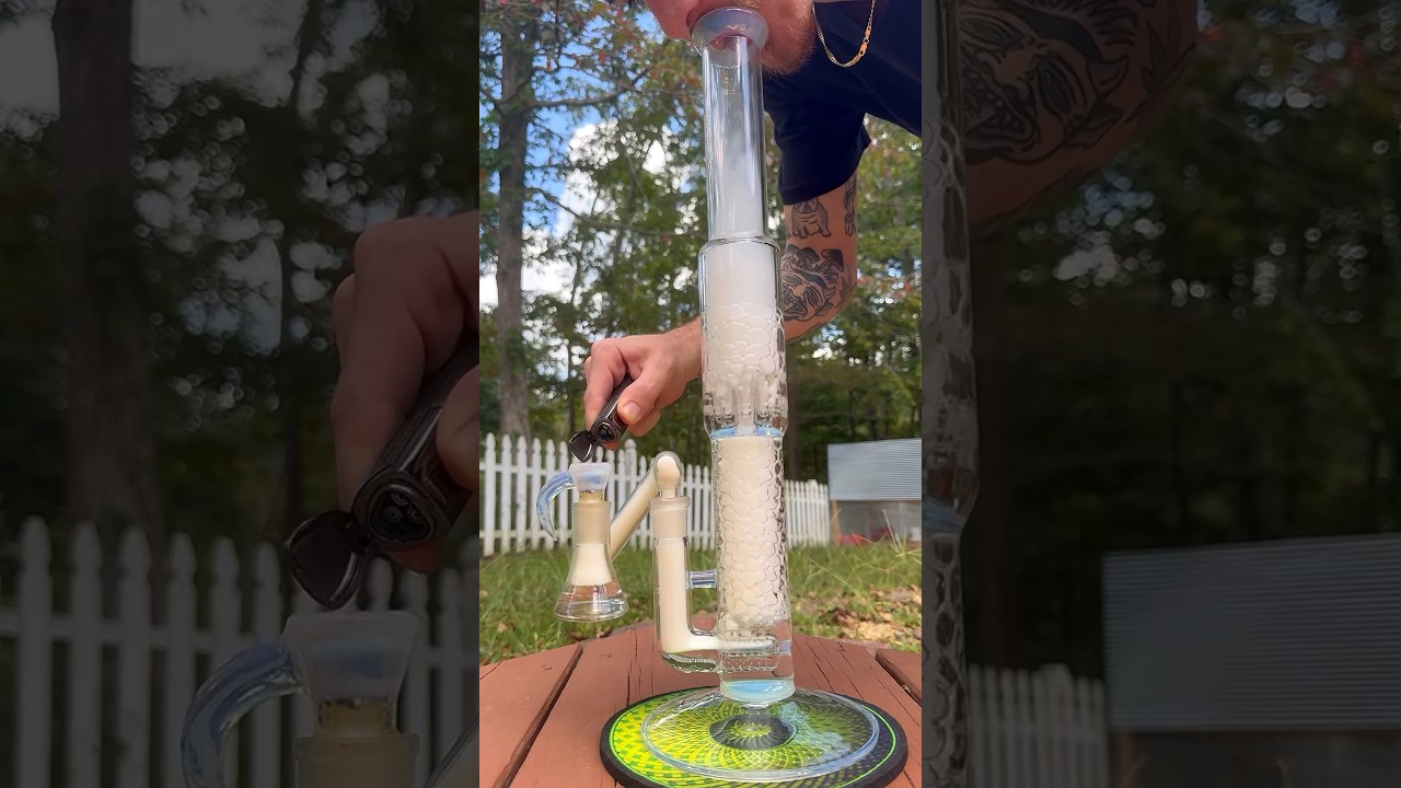 WAKIN & BAKIN W/ THE CHICKENS PT. 2 💨