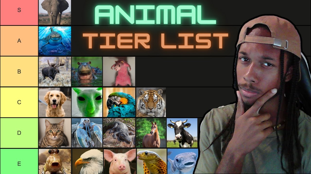 Rep Ranking Animals Gym Ranking Animals I Could Beat In A Fight - YouTube