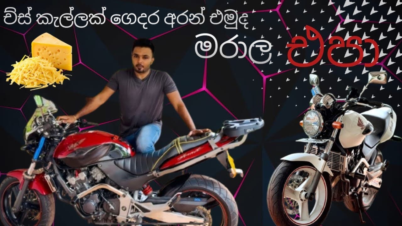 hornet hornet full review in sinhala 😍🇱🇰🙏 