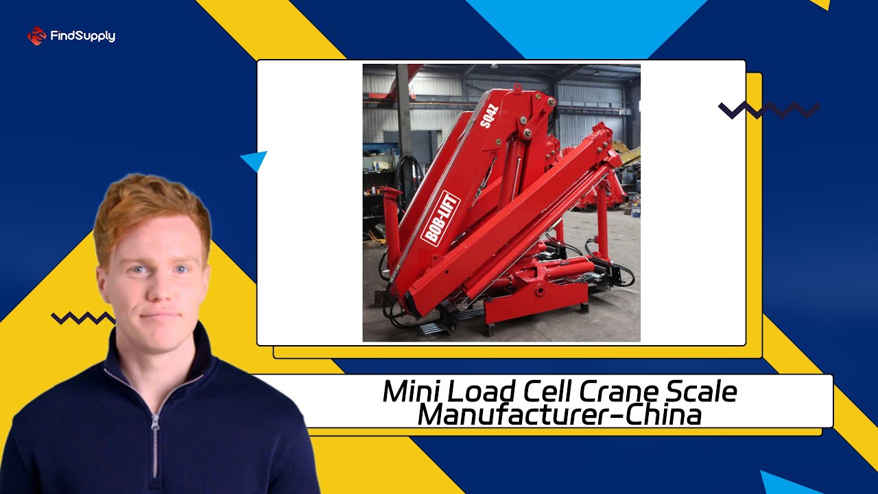 Mini Load Cell Crane Scale Manufacturer-China