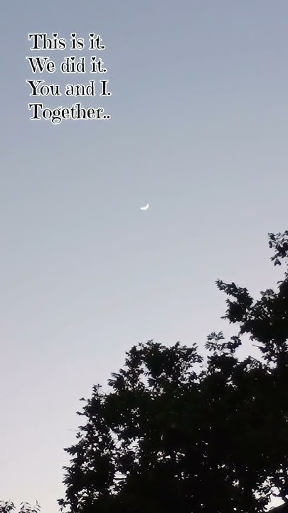 may-be-in-next-life-till-then-goodbye-music-song-lyrics
