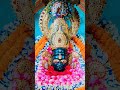 💗🌹श्री श्याम दरबार (जमशेदपुर) के आज के अलौकिक दर्शन🌹💗17/05/2026 #shortsviral #trending #moreviews