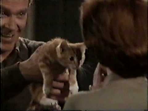 1993-05-18 Ross Gives Blake A Kitten