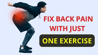 Why Lower Back Pain From Squat And How To Fix It