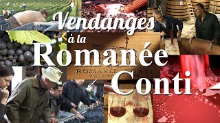 VENDANGES À LA ROMANÉE-CONTI by LOTEL DU VIN