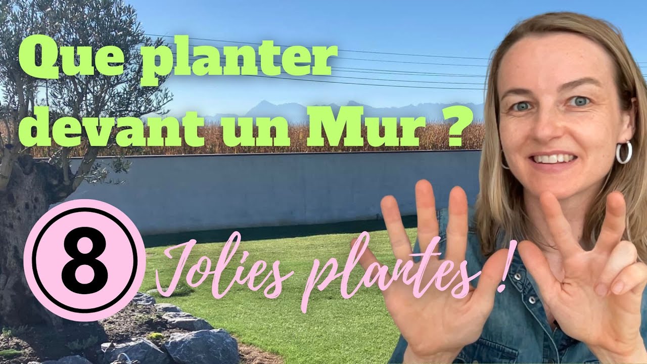 Que planter devant un mur ? 8 jolies plantes faciles d'entretien