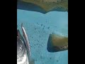 Belle Prise au Leurre Hunt House de chez MLP Fishing.