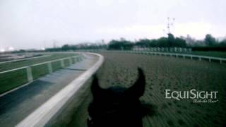 Breeders Cup 2013 Suns Out Guns Out Official Workout Jockeycam Presented By Equisight Com