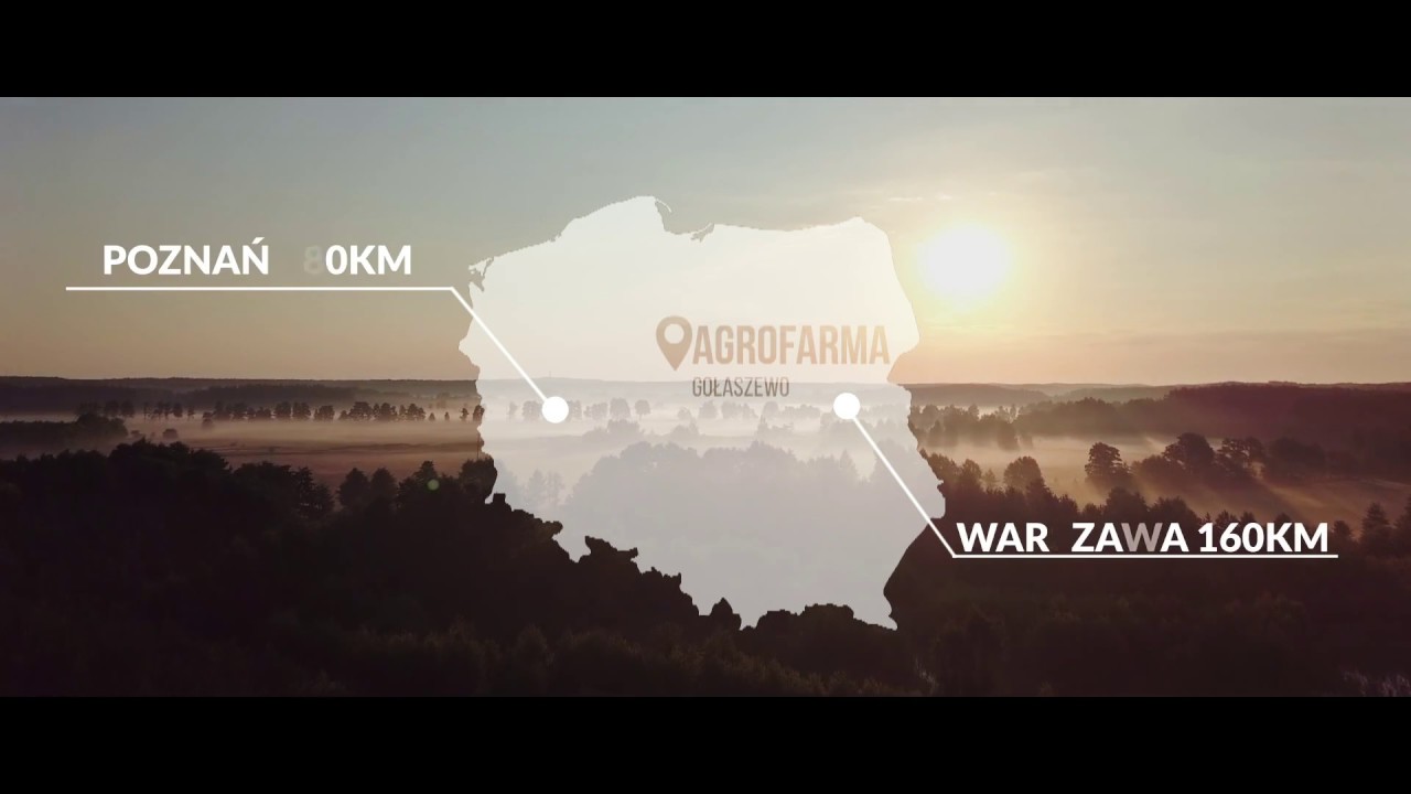 AGROFARMA GOŁASZEWO