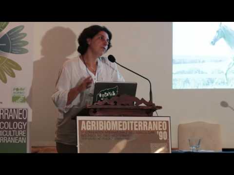 Video: L'agricoltura mediterranea è commerciale?