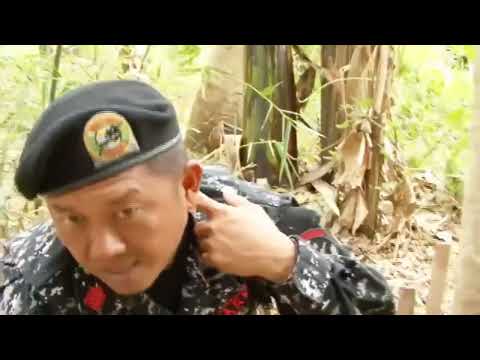 How to catch bird with empty coconut shell trap (Jungle Survival)