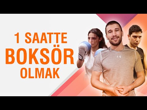 Video: Bir Boksör Nasıl Eğitilir