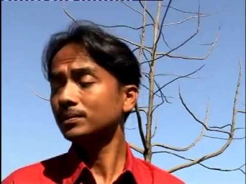 Did Yazeed order his troops to kill Hussain? (May Allah be pleased with him) Assim al hakeem