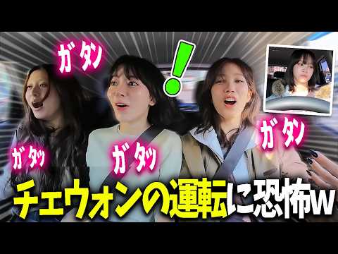 【LE SSERAFIM】ペーパードライバーのチェウォンの運転でキャンプに行くも運転が怖すぎてアトラクションみたいになるｗｗｗ【日本語字幕】