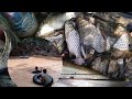 Vlog  menjaring sungai dalam pemburuan ikan part 1