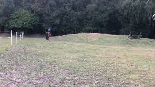 Ad ref 301043   Video 2