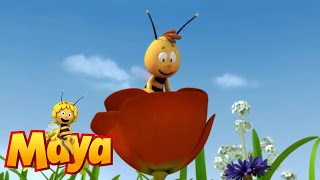 Mrs. Hermit beetle's journey - Maya the Bee - Episode 23
