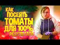 ПОСЕВ ТОМАТОВ. ПОДРОБНАЯ ИНСТРУКЦИЯ. 100 % РЕЗУЛЬТАТ