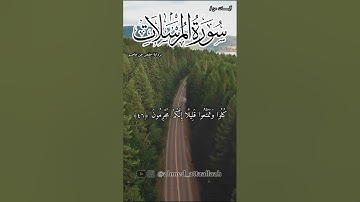 إن المتقين في ظلال وعيون | القارئ أحمد عطاالله | برواية حفص عن عاصم