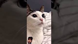 Top 3 Bicycle 🔥#shorts #gadgests #bicycle #cycle