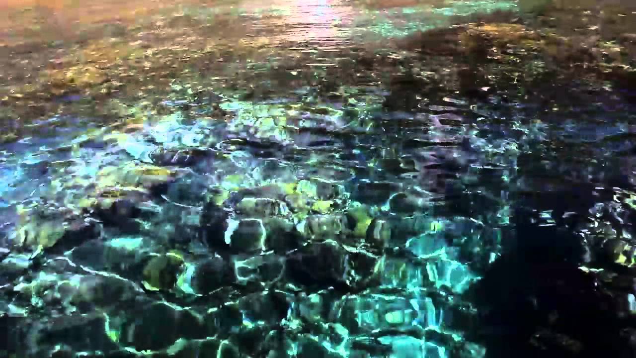شروق الأرض - غواصون بيئيون