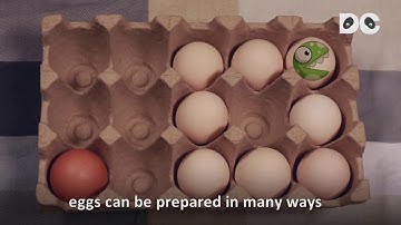 Eggstatic about eggs