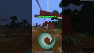Гриф домика! #анархиямайнкрафт #minecraft #фантайм  #minecreaft #читы #2b2t #kujos1