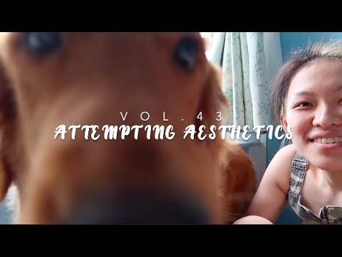 Vlog Vol. 44|| Out of Quarantine but Dog-sitting