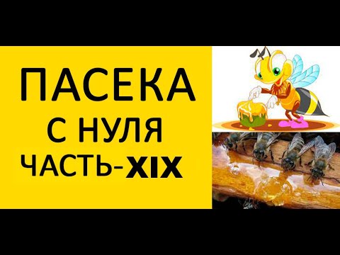 Пасека с нуля 19. Весенняя подкормка пчел сиропом с помощью внешней ульевой поилки. /www.uley.in