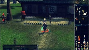 Metin2 P server Vorstellung 2012 LostDragon2