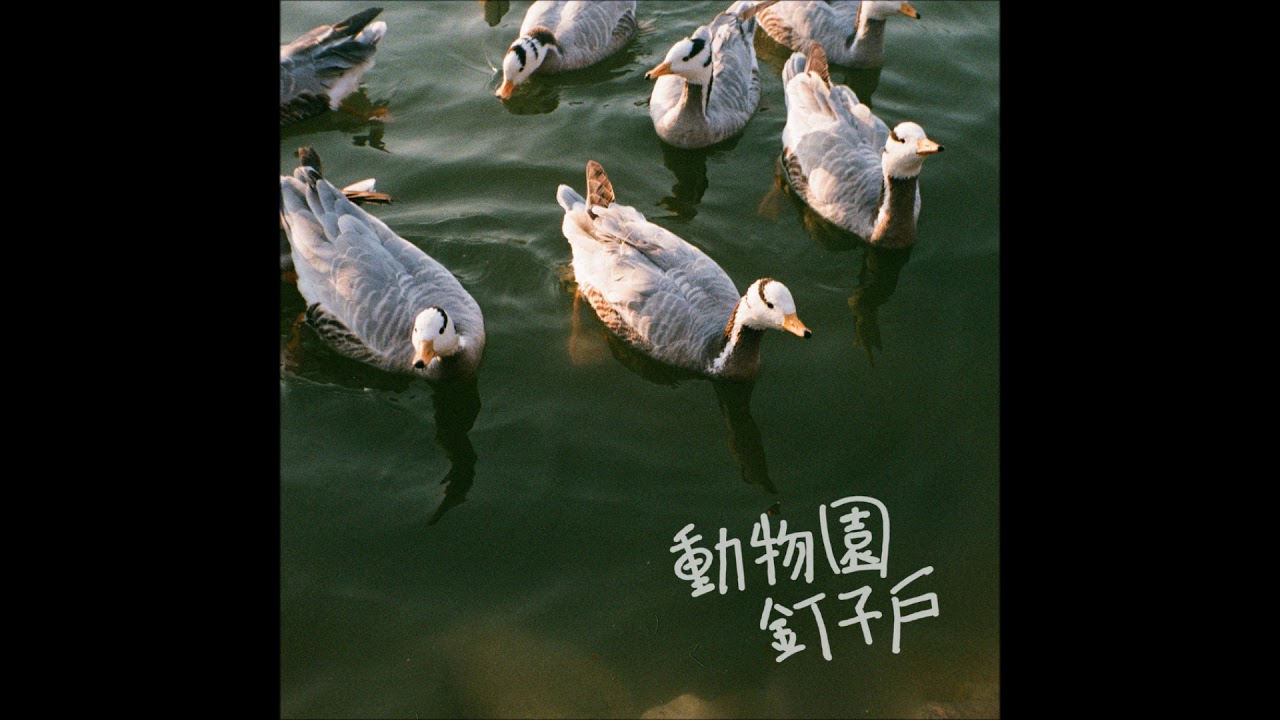 Nate Silver on AI, Politics, and Power