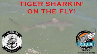 Tiger Sharkin' on the Fly! Tiger Shark Fishing with Capt  Brian | Fishing TV Show | Hogger Boys