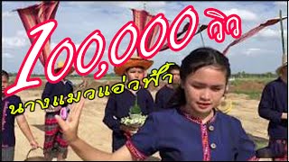 MVนางแมวแอ่วฟ้า  ผลงานนักเรียนโรงเรียนร่องคำ ชั้น ม.5/6