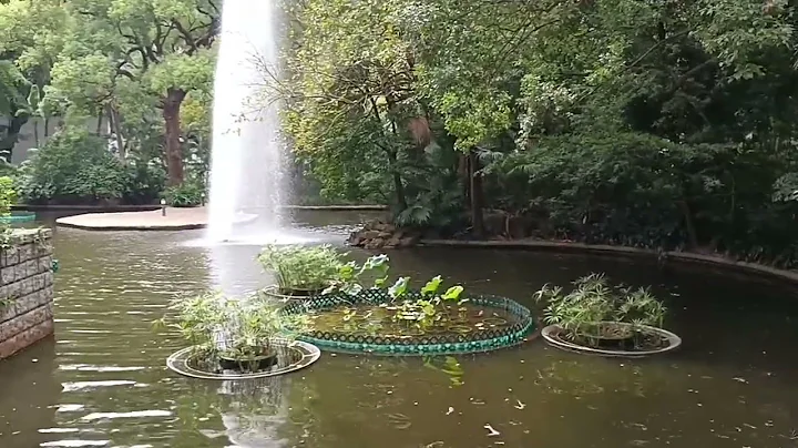 Walk with me | Kowloon Park (Part 1) #nature #park #ambientsounds