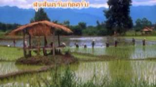 Video thumbnail of "สุขสันต์วันเกิด อีสาน"