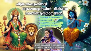 Chithra Arun Devotional Songs|Babu Narayanan| Aneesh Gopinathan. #chithra_songs #chithrahits 
