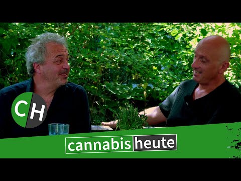 30 Jahre Joint Venture: Götz Widmann im Exklusiv-Interview über Musik, Legalisierung und Karriere