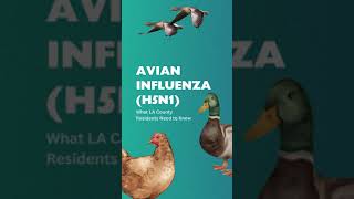 H5N1 Avian Flu in #losangeles County #publichealth #birdflu