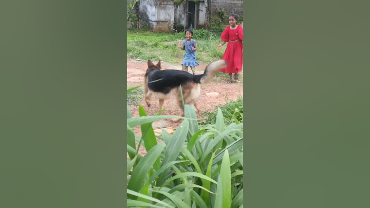 കുഞ്ഞുങ്ങളോട് എന്തു സ്നേഹമാണെന്നു നോക്കൂ  സൈറ കുട്ടിക്ക്. സുഹൃത്തിൻ്റെ വീട്ടിൽ പോയപ്പോൾ കണ്ടതാ.