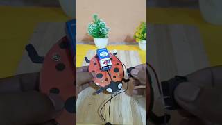 Let's Make a "Vibrating Bug" "Lady Bug"🐞🐞🐞#scienceexperiments  #shortvideo #viralshort