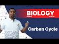 Carbon Cycle Explained for Grade 12 Entrance Exam | Biology Ethiopia