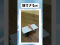 せめてひと思いに… #shorts #おすすめ #おもしろ #海外 #すごい #ゴキブリ#罠#バズれ