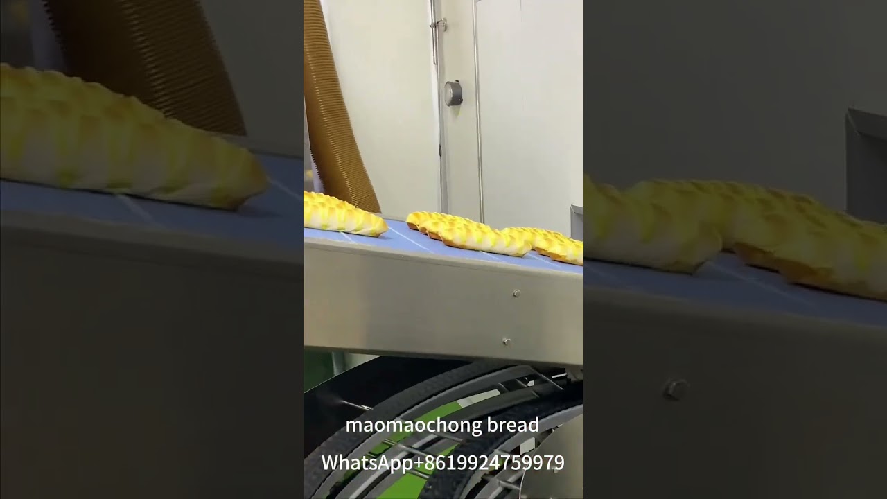 Baking production line customization, baking equipment, baking solutions，WhatsApp+8619924659979.