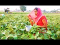Rural life of bihari community in assam india part   676 