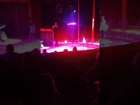 السيرك العالمي