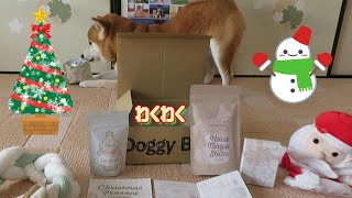 SOLD おぞまし ホイップデコdog40 Xmas