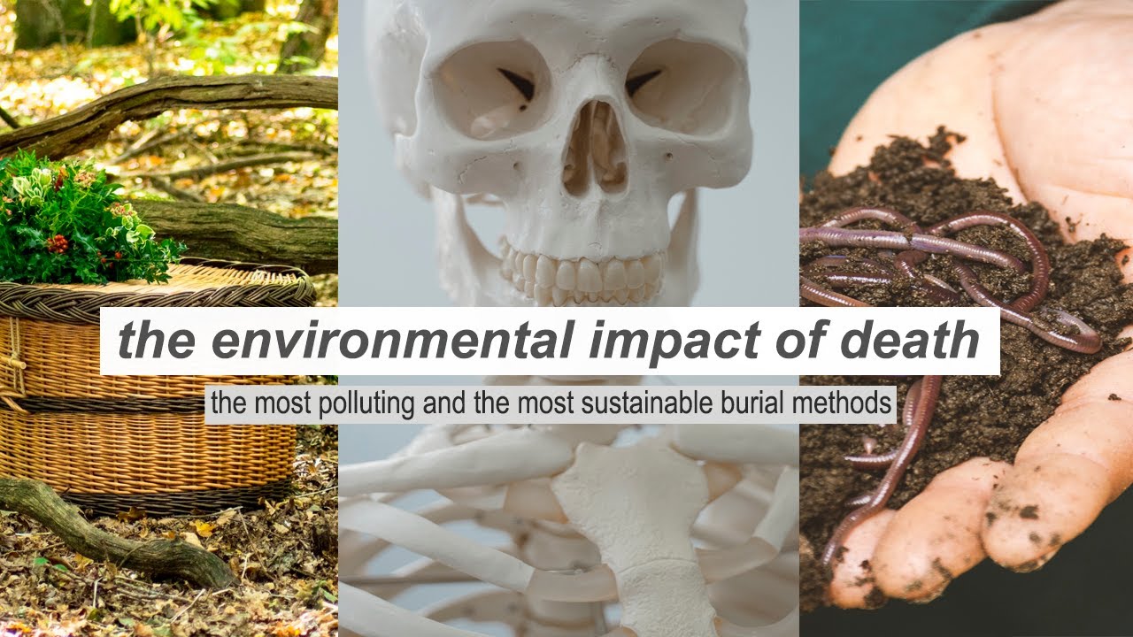 The Impact of Death // pollution post mortem + sustainable burial methods YouTube
