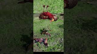 YEMEK PROBLEMİNİ ÇÖZDÜM!! 🏹🕊️ #crimsondesert #game