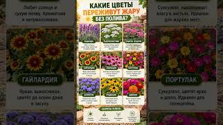 Посадите эти цветы если у вас нет времени на полив #дача #сад #цветы